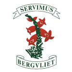 Bergvliet.jpg